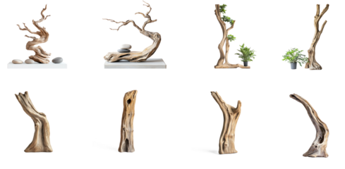 A collection of driftwood sculptures and plants arranged in a Zen-like setting.