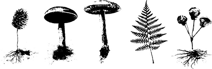 Naklejka premium Black and white grunge forest elements set: mushrooms, fern, pine cone, nature illustration
