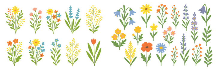 Big set of colorful spring and summer wildflowers including daisy, tulip, and bluebell arranged in simple bouquets and isolated on a white background