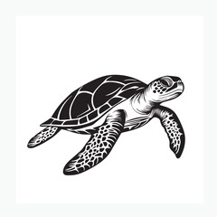 sea turtle vector illustration