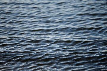Calm Rippling Water Surface with Sunlight Reflections - Serene and Relaxing Nature Scene