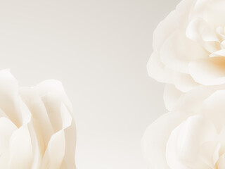 Elegant white roses with a subtle gradient background, creating a calm, serene atmosphere.