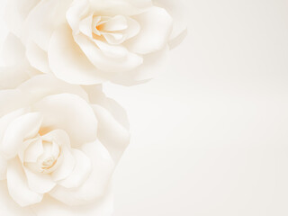 White roses arranged softly, with a minimalistic, light background, offering a peaceful vibe.