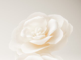 White rose with soft petals on a gentle beige background, showcasing delicate details.