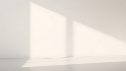 Obraz premium Minimalist Product Photography Backgrounds Featuring Empty Rooms, Shadows, and Neon Lighting for Stunning Visual Displays in Black and White 