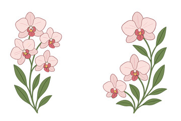 Pink Phalaenopsis orchid flowers with green leaves on a white background forming a decorative floral frame or border