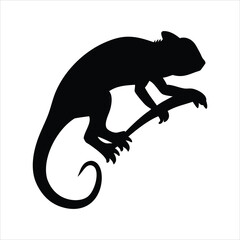 Black silhouette of a chameleon perched on a branch against a white background © Ashraf