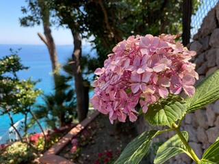 Elegant architecture and sea views from boutique hotel in Ischia, Italy