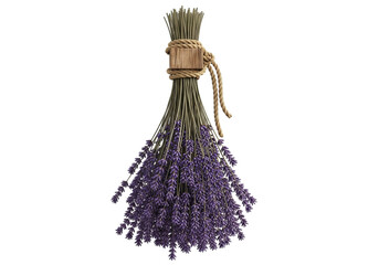 Dried lavender bouquet hanging tied with ribbon for rustic home decor aroma therapy and aromatherapy uses