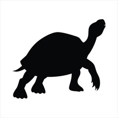 Black silhouette of a tortoise walking on a white background