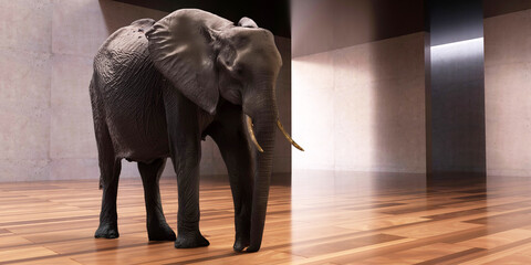 Elephant in the room, wild animal in a modern space, concrete walls and wooden floor