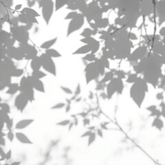 shadow overlay effect. Gray shadow of leaves isolated on white background. Plant foliage leaf shadow light effect. Mockup Blurred tree branch shadow. Ideal for summer spring design elements PNG