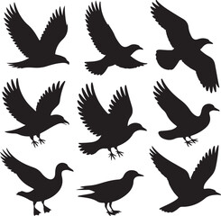 Obraz premium Silhouettes of Various Birds in Flight and Perched on White Background Keywords: bird, eagle, hawk