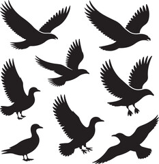 Fototapeta premium Collection of flying bird silhouettes on white background Keywords: eagle, bird, flying, silhouette