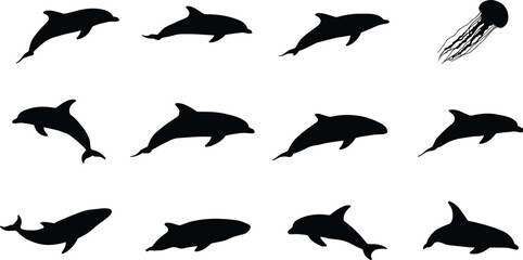Marine animal silhouettes, dolphins, jellyfish, ocean wildlife, sea creatures, aquatic life, underwater animals, swimming mammals, marine biology, ocean nature icons