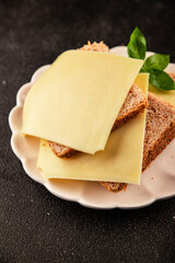Sandwich cheese tasty snack fresh delicious gourmet food background on the table rustic top view copy space