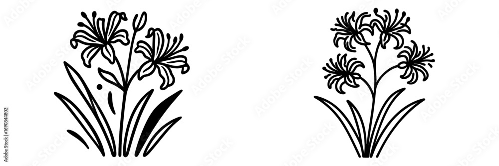 Poster set of two black and white lily flower icons in a simple line art style, isolated botanical elements