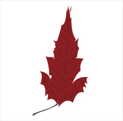 Red Trio Leaf Autumn Botanical Vector
