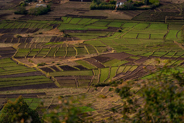 rural landscape with farm, Madagascar