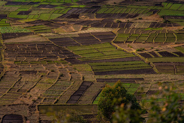 rural landscape with farm, Madagascar