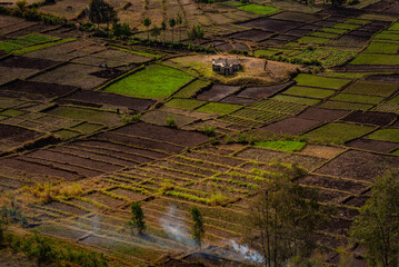 rural landscape with farm, Madagascar