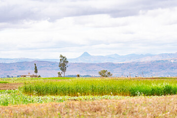 rural landscape with farm, Madagascar