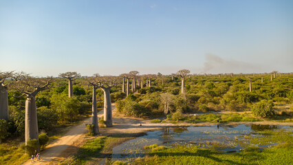 landscape with river