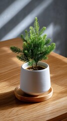 A beautiful, minimalist tabletop with a single, small Christmas tree in a plain ceramic pot