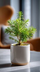 A beautiful, minimalist tabletop with a single, small Christmas tree in a plain ceramic pot