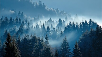 Obraz premium Misty forest landscape with pine trees at dawn