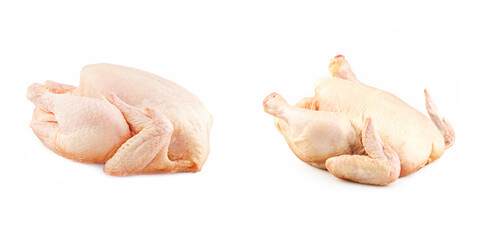 Vacuum Packed Marrow Bones and Oxtail for Retail and Restaurant Broth Applications