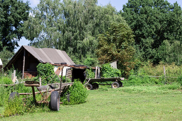 An old barn in an abandoned farm. Two horse-drawn carts near the barn. Green trees and  meadow around.