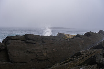 Russia, Murmansk region, Rybachy Peninsula. Cape Nemetsky, Barents Sea. August 2025
