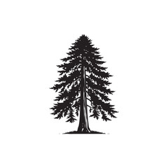Redwood tree Vector (1).eps