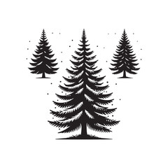 Fototapeta premium Spruce tree Vector (4).eps