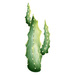 Watercolor Cactus Clipart Set