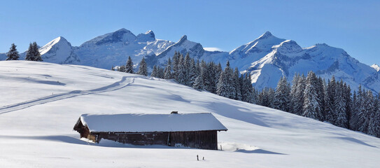 View from the Wispile sledging trail. Distant view of Glacier 3000, Switzerland.