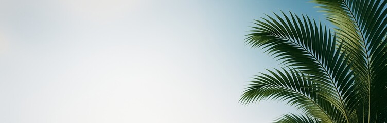 Fototapeta premium Tropical palm leaves on right side with bright empty background for creative summer design, copyspace, poster, banner or template concept. Ai generative