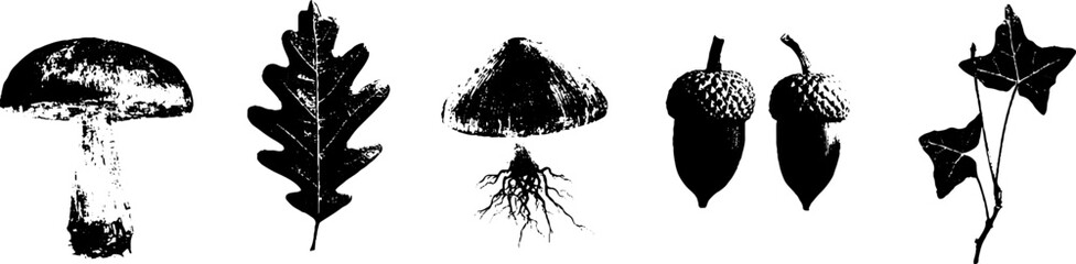 Grunge black and white nature silhouette set: mushrooms, oak leaf, acorns, ivy, root design for poster