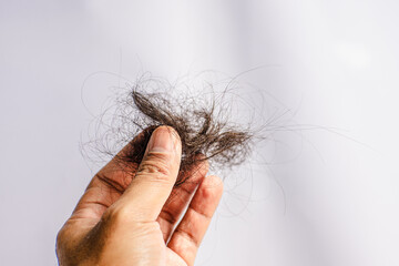 Roll of hair loss in hand on white background