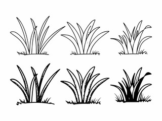 vector set of grass handdrawn doodle 