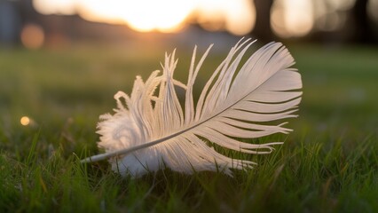 Dreamy white feather resting gently on lush green grass at sunset, evoking peace and tranquility, perfect for mindfulness, nature, or spiritual themes in branding and design projects