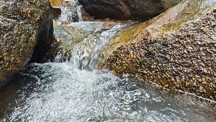 water flowing in the forest