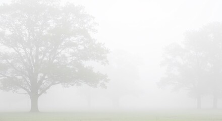   (Shijaku tayou kiri no asa ki-ki yasashiku tsutsumu shiro) Translation: Quiet, misty morning, trees gently enveloped in white.. AI Generated