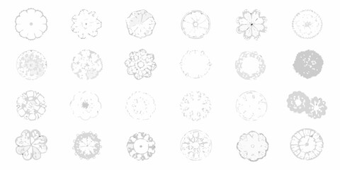 Collection of top view illustrations of various stylized flowers and abstract circular floral patterns