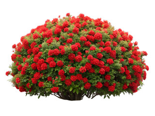 A stunning Christmas bouquet of red roses, holly, and other festive flowers is a perfect holiday gift