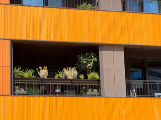 Modern orange facade apartment balcony decorated with plants and greenery in pots. Urban lifestyle,...