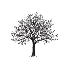 Dogwood Vector  (3).eps