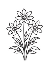 Bouquet of Three Star- Shaped Flowers with Leaves floral illustration