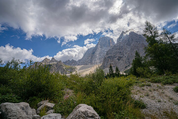 Alpine meadow in front of Croda da Lago Dolomites mountain range with rugged peaks and green trees under sunny sky with clouds